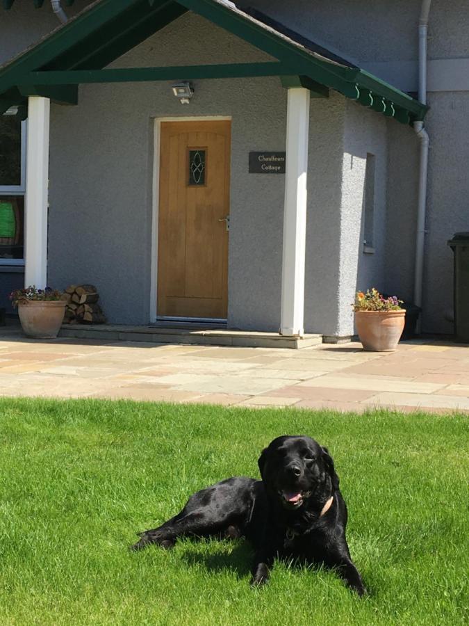 Chauffeur'S Cottage With Hot Tub Cray  Exterior photo
